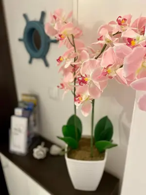 Tlocrt objekta Apartman Dani - Sutivan