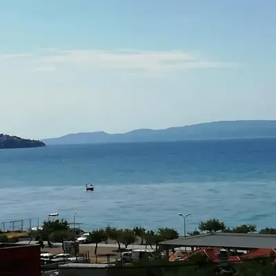 Bugenvilija