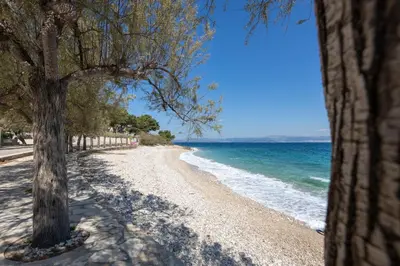 Priroda u blizini apartmana