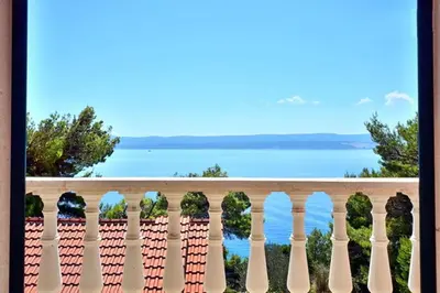 Priroda u blizini vila
