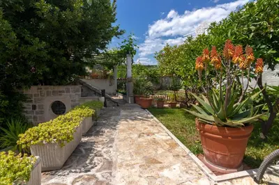 Vrt u objektu Villa Laurus Brač