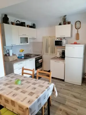 Kuhinja ili čajna kuhinja u objektu House Tomy