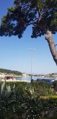 Priroda u blizini apartmana