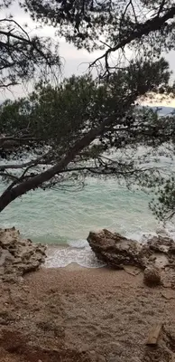 Priroda u blizini apartmana
