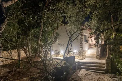 Vrt u objektu Villa Pinus