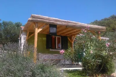 Vrt u objektu Secluded fisherman's cottage Cove Skozanje, Hvar - 18887