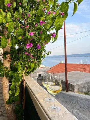 Priroda u blizini apartmana