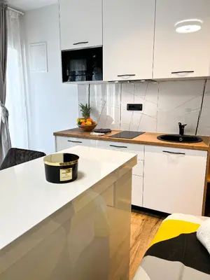 Kuhinja ili čajna kuhinja u objektu SanOne-Studio apartment