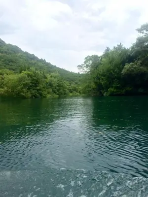 Priroda u blizini apartmana