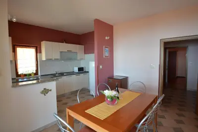 Kuhinja ili čajna kuhinja u objektu Apartment Vesela 1
