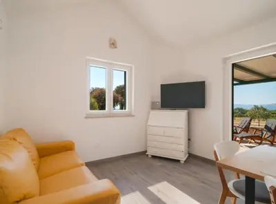 TV i/ili zabavni centar u objektu Holiday home Blato