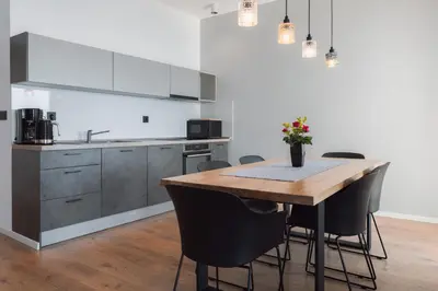 Kuhinja ili čajna kuhinja u objektu Apartmani Stipe Brela