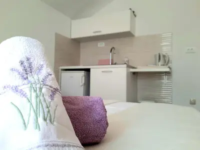 Kuhinja ili čajna kuhinja u objektu Studio Apartments Regina
