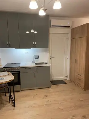 Kuhinja ili čajna kuhinja u objektu Studio Apartment Klokke