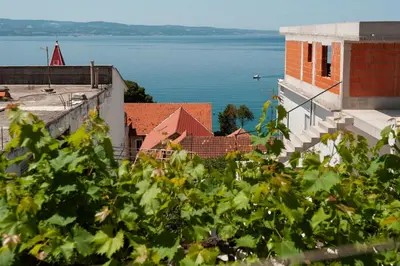 Priroda u blizini apartmana