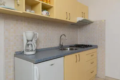 Kuhinja ili čajna kuhinja u objektu Apartments Paloc - Yellow