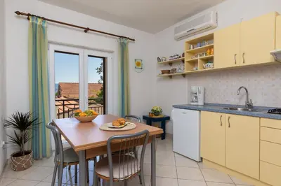 Kuhinja ili čajna kuhinja u objektu Apartments Paloc - Yellow