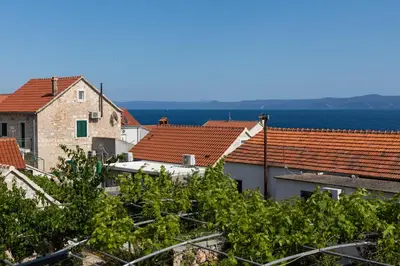 Priroda u blizini apartmana