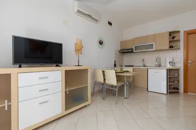 Kuhinja ili čajna kuhinja u objektu Apartments Paloc - Green