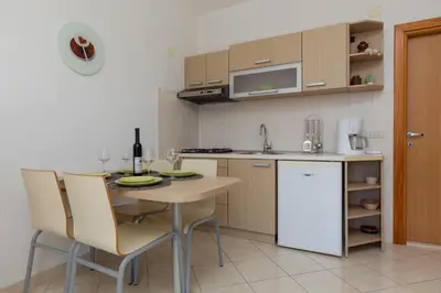 Kuhinja ili čajna kuhinja u objektu Apartments Paloc - Green