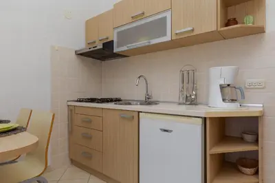 Kuhinja ili čajna kuhinja u objektu Apartments Paloc - Green