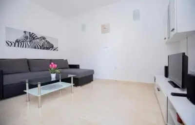 TV i/ili zabavni centar u objektu Luxury Apartment Ani 100m to See with Pool & Parking