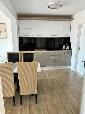 Kuhinja ili čajna kuhinja u objektu Baska Voda Borna