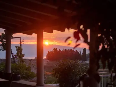 Priroda u blizini vila