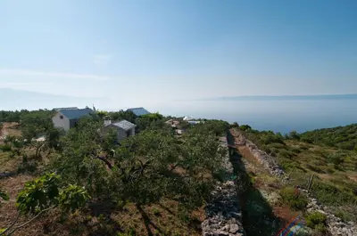 Priroda u blizini vikendica
