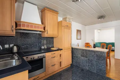 Kuhinja ili čajna kuhinja u objektu Apartments Morena