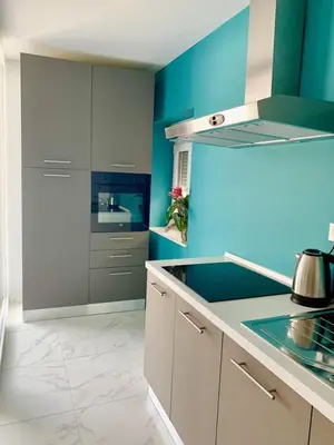 Kuhinja ili čajna kuhinja u objektu Deluxe Suites Mandić