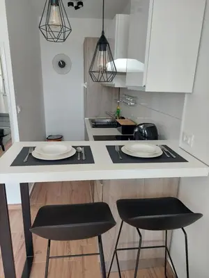 Kuhinja ili čajna kuhinja u objektu Studio apartman Kiara