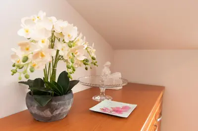 Tlocrt objekta Apartments Andrijana