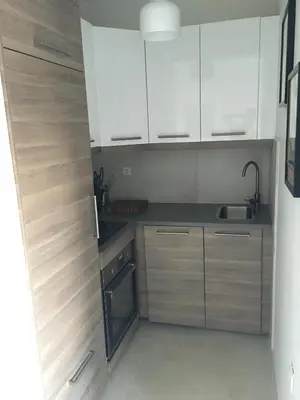 Kuhinja ili čajna kuhinja u objektu Apartman ENA