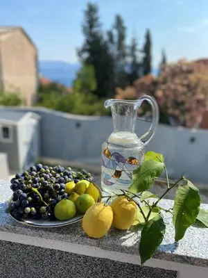 Pića u objektu Apartmani Sandi
