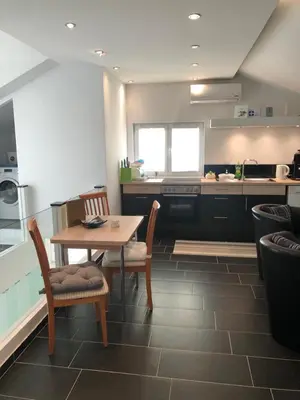 Kuhinja ili čajna kuhinja u objektu Apartmani Sandi