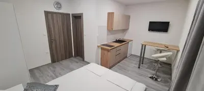TV i/ili zabavni centar u objektu Apartments Dado
