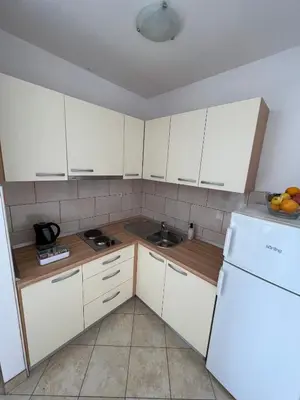 Kuhinja ili čajna kuhinja u objektu Apartmani Bakovic