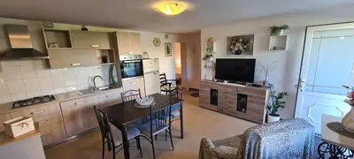 Kuhinja ili čajna kuhinja u objektu Apartmani FANI