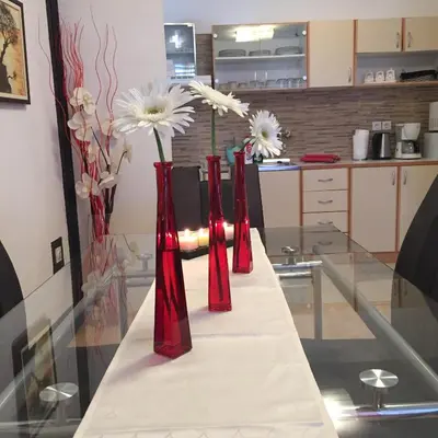 Kuhinja ili čajna kuhinja u objektu Apartments Stakic