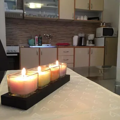 Kuhinja ili čajna kuhinja u objektu Apartments Stakic