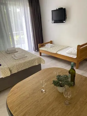 TV i/ili zabavni centar u objektu Vila Dvorski