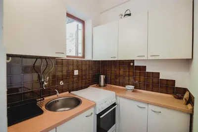 Kuhinja ili čajna kuhinja u objektu Apartments Antun