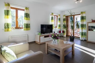 TV i/ili zabavni centar u objektu Apartment Flandria
