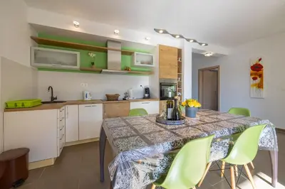 Kuhinja ili čajna kuhinja u objektu Apartment Flandria