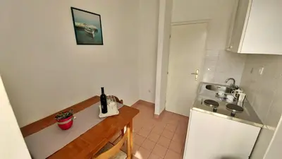 Kuhinja ili čajna kuhinja u objektu Apartments Mandalinic