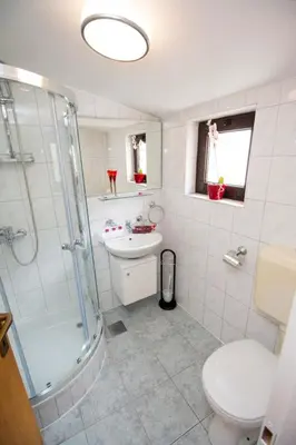 Kupaonica u objektu Apartment in Pisak with sea view, terrace, air conditioning, WiFi 3340-5
