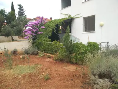 Vrt u objektu Apartman Paiz