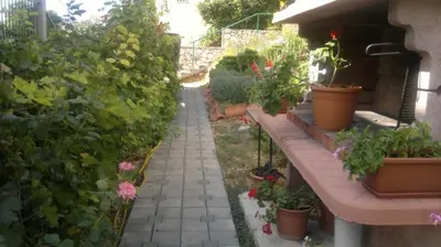 Vrt u objektu Apartment in Pisak with sea view, terrace, air conditioning, WiFi 3340-7