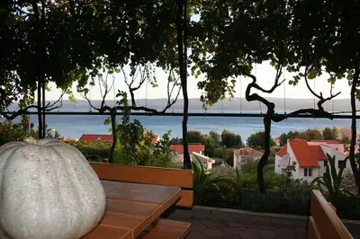 Priroda u blizini apartmana